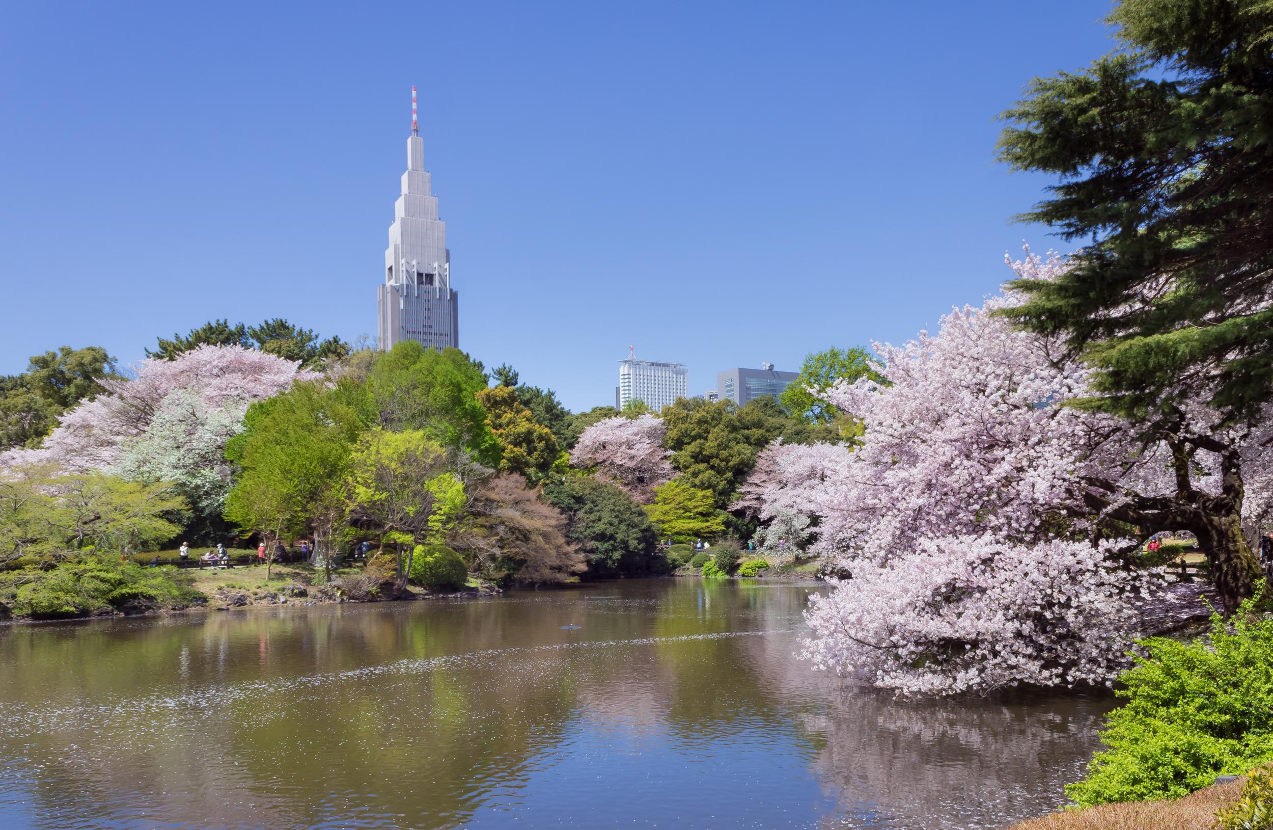 Shinjuku Gyoen National Garden